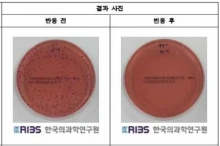 大腸菌99.7％減少