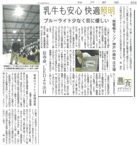 神戸新聞に【牛舎用照明 無電極ランプ】が掲載されました